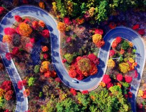 Trucos y consejos para una conducción perfecta este otoño